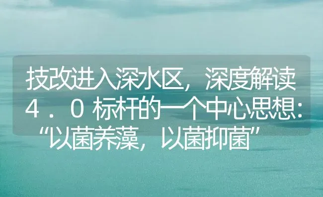 技改进入深水区，深度解读4.0标杆的一个中心思想：“以菌养藻，以菌抑菌” | 海水养殖