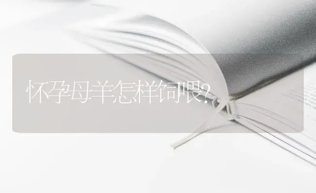 怀孕母羊怎样饲喂？ | 家畜养殖