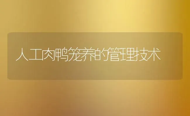 人工肉鸭笼养的管理技术 | 家禽养殖
