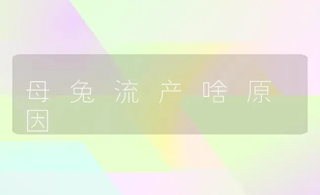 母 兔 流 产 啥 原 因 | 家畜养殖