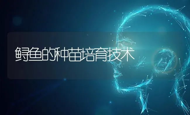 鲟鱼的种苗培育技术 | 淡水养殖