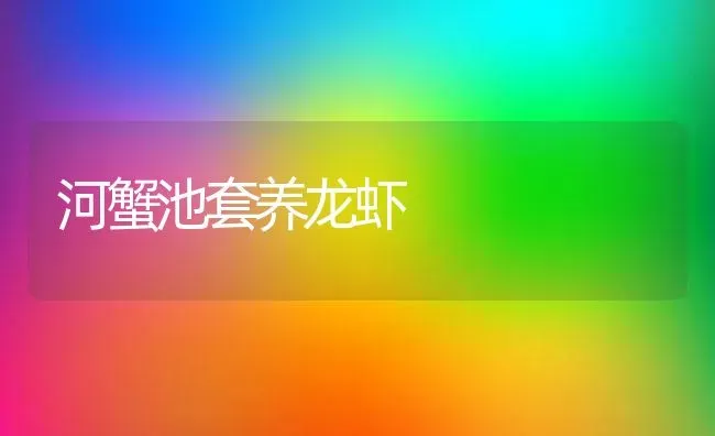 河蟹池套养龙虾 | 淡水养殖