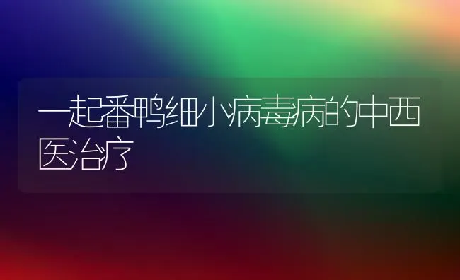 一起番鸭细小病毒病的中西医治疗 | 家禽养殖