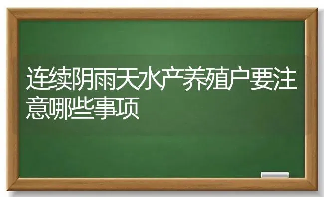 连续阴雨天水产养殖户要注意哪些事项 | 动物养殖百科