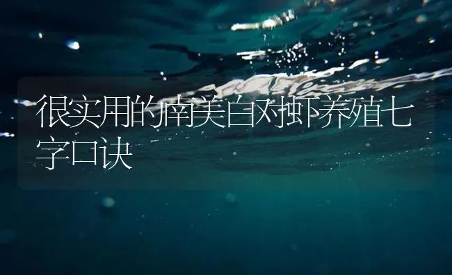 很实用的南美白对虾养殖七字口诀 | 海水养殖