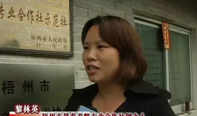 科学养鳖助力广西梧州长洲区倒水镇群众脱贫
