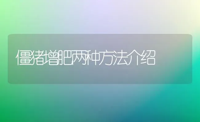 僵猪增肥两种方法介绍 | 家畜养殖