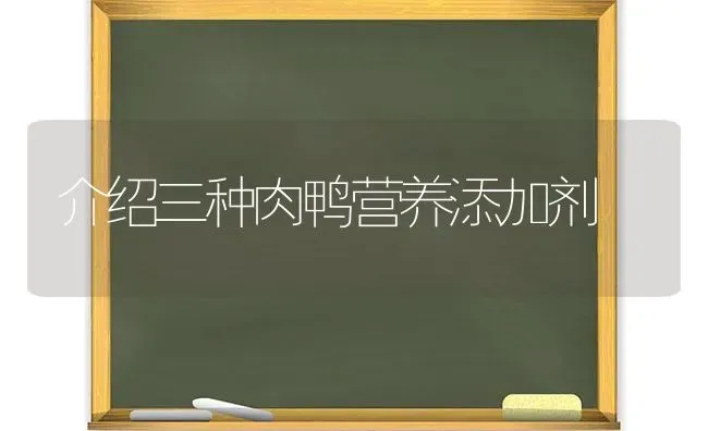 介绍三种肉鸭营养添加剂 | 家禽养殖