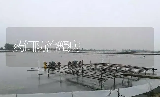 药饵防治蟹病 | 养殖病虫害防治