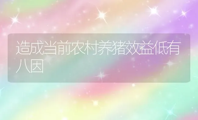 造成当前农村养猪效益低有八因 | 家畜养殖