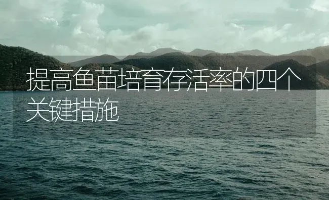 提高鱼苗培育存活率的四个关键措施 | 淡水养殖