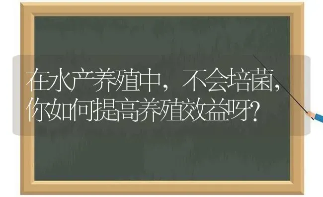 在水产养殖中，不会培菌，你如何提高养殖效益呀？ | 动物养殖百科