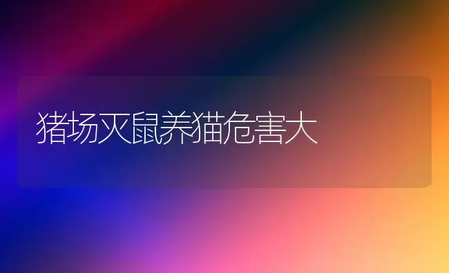 猪场灭鼠养猫危害大 | 家畜养殖