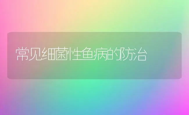 常见细菌性鱼病的防治 | 淡水养殖