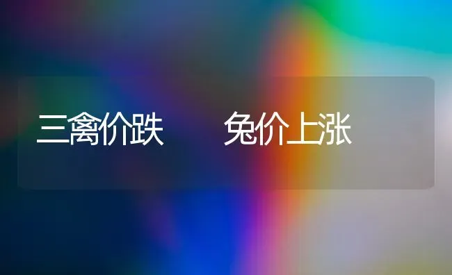 三禽价跌  兔价上涨 | 家禽养殖