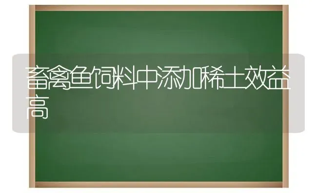 畜禽鱼饲料中添加稀土效益高 | 动物养殖饲料