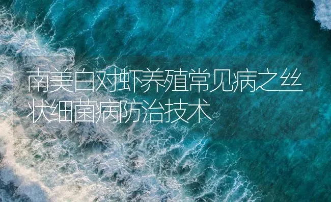 南美白对虾养殖常见病之丝状细菌病防治技术 | 海水养殖