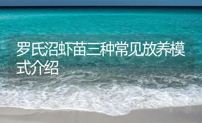 罗氏沼虾苗三种常见放养模式介绍 | 海水养殖