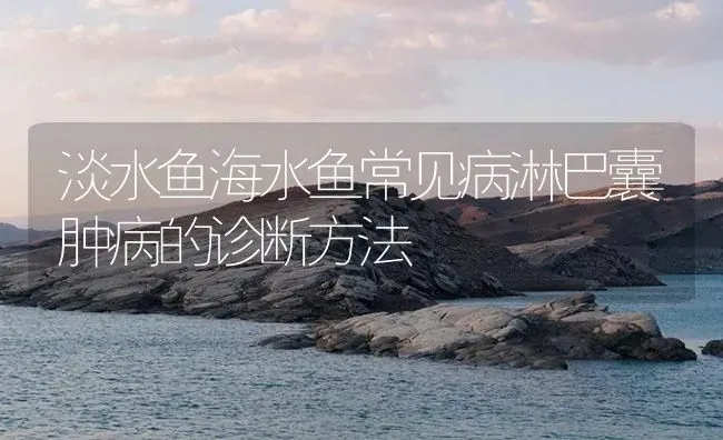 淡水鱼海水鱼常见病淋巴囊肿病的诊断方法 | 养殖病虫害防治