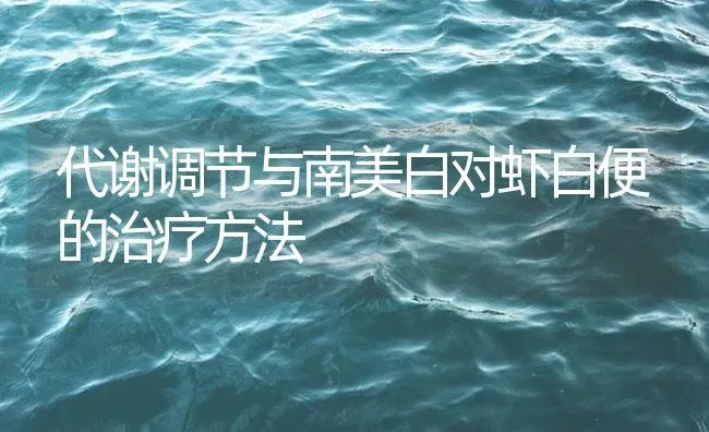代谢调节与南美白对虾白便的治疗方法 | 海水养殖