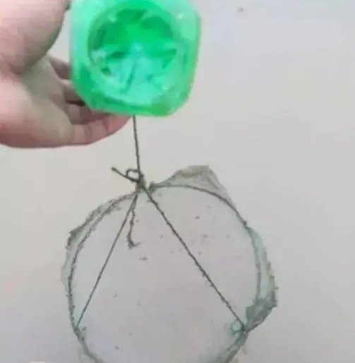河蟹生长关键期遇上梅雨天，一线技术专家给你的八大建议