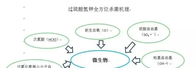 过硫酸氢钾复合盐在水产养殖中的应用