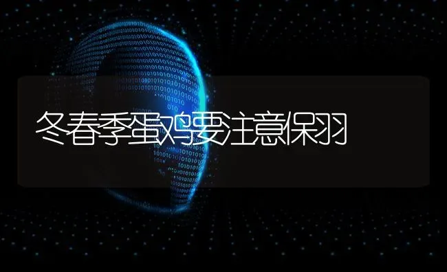 冬春季蛋鸡要注意保羽 | 家禽养殖