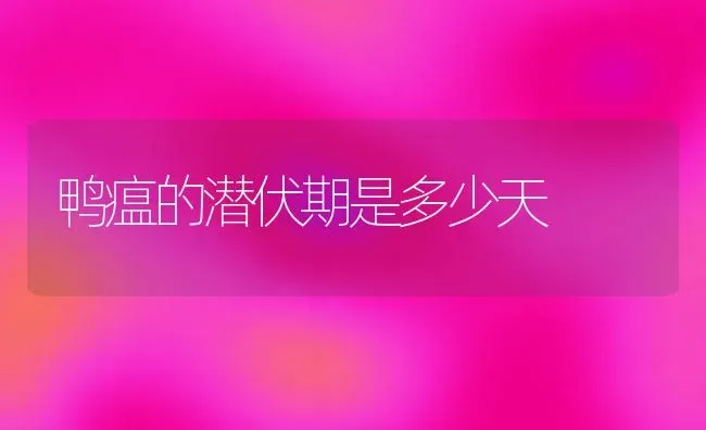 鸭瘟的潜伏期是多少天 | 家禽养殖