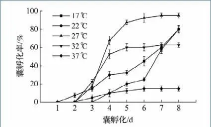 黄花鱼突然大量死亡，究竟什么鬼在搞事情……