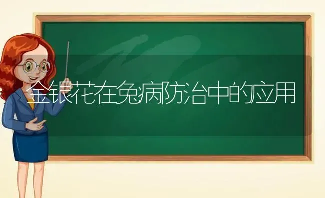 金银花在兔病防治中的应用 | 家畜养殖