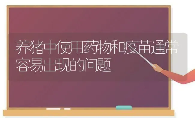 养猪中使用药物和疫苗通常容易出现的问题 | 养殖病虫害防治