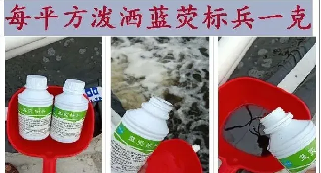 冬棚虾水质和疾病预防管理