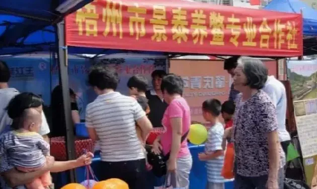科学养鳖助力广西梧州长洲区倒水镇群众脱贫