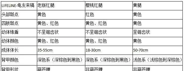 红腿陆龟的饲养-从入门到繁殖