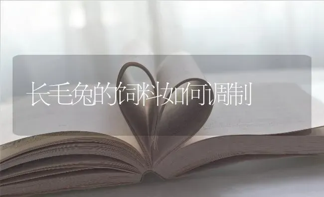 长毛兔的饲料如何调制 | 动物养殖饲料