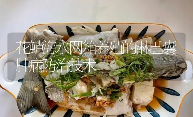 花鲈海水网箱养殖的淋巴囊肿病防治技术 | 淡水养殖