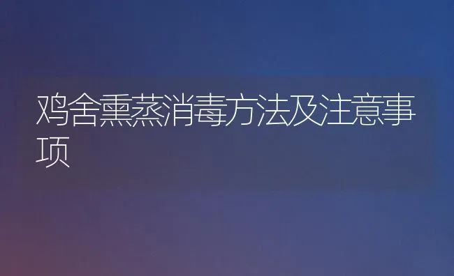鸡舍熏蒸消毒方法及注意事项 | 家禽养殖