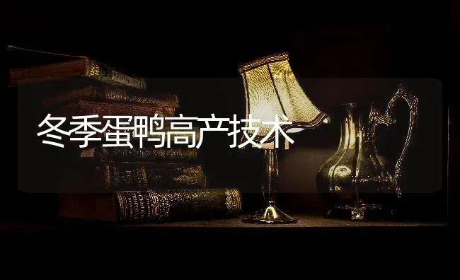 冬季蛋鸭高产技术 | 家禽养殖