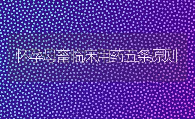 怀孕母畜临床用药五条原则 | 养殖病虫害防治