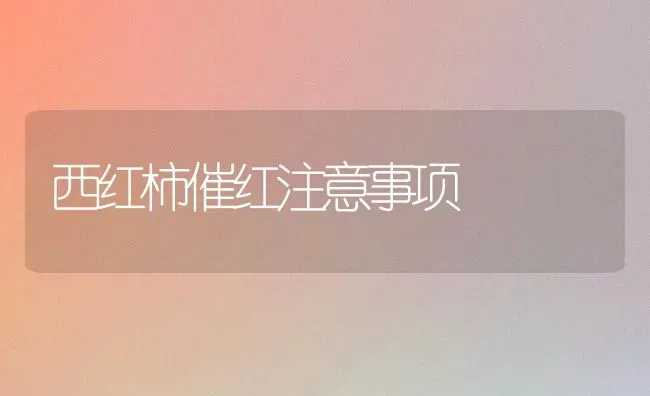 山羊胀肚需及时诊治 | 家畜养殖