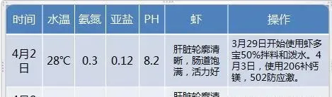 虾多宝在南美白对虾小棚标苗中的应用效果