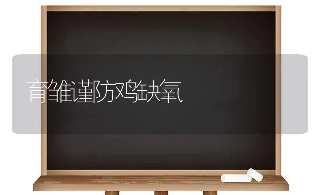 育雏谨防鸡缺氧 | 家禽养殖
