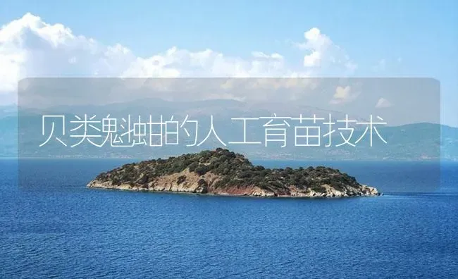 贝类魁蚶的人工育苗技术 | 海水养殖