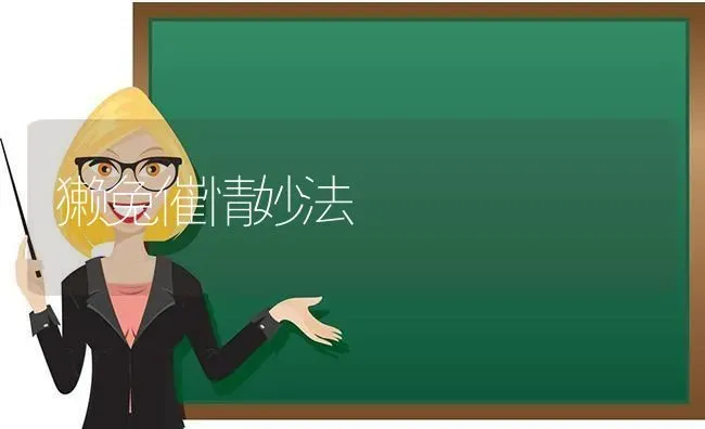 獭兔催情妙法 | 家畜养殖