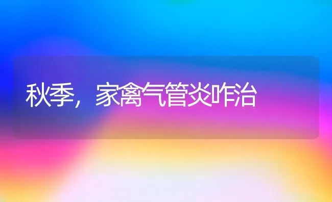 秋季，家禽气管炎咋治 | 家禽养殖