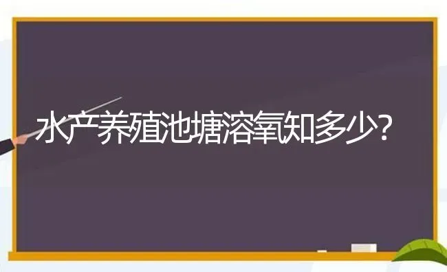 水产养殖池塘溶氧知多少？ | 动物养殖百科