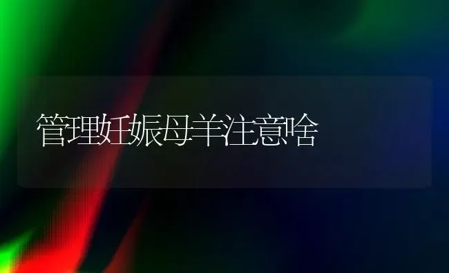 管理妊娠母羊注意啥 | 家畜养殖