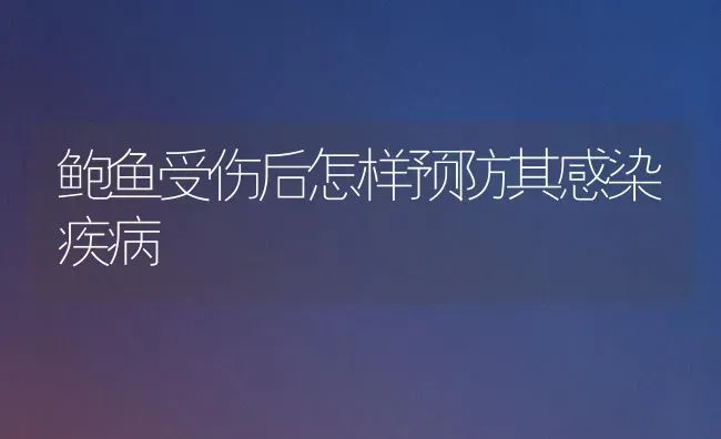 鲍鱼受伤后怎样预防其感染疾病 | 淡水养殖