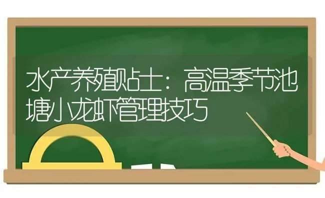 水产养殖贴士：高温季节池塘小龙虾管理技巧 | 动物养殖百科