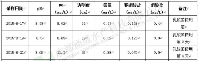 江苏大丰鲫鱼养殖塘口扩培乳酸菌使用效果显著